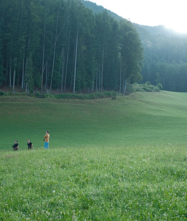 Wandern