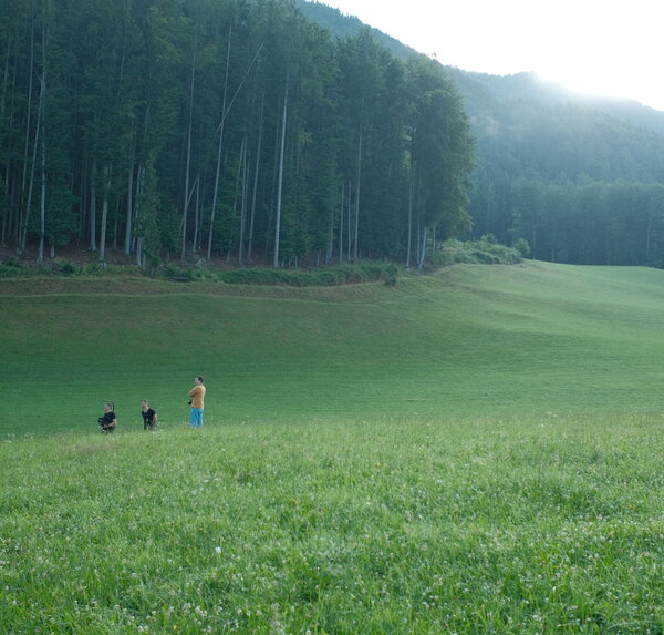 Wandern